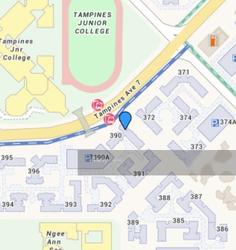 Blk 393 Tampines Avenue 7 (Tampines), HDB 5 Rooms #153371652